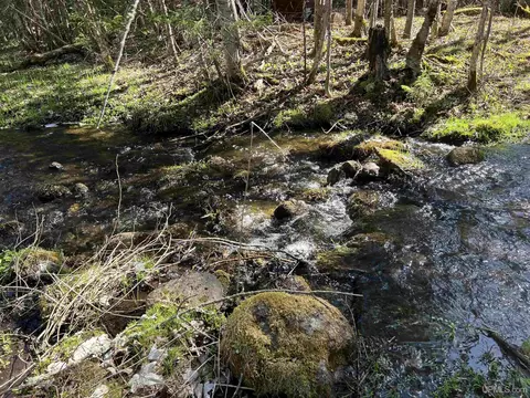 3499 M94, Chatham, MI 49816 photo 4