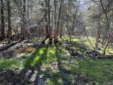 3499 M94, Chatham, MI 49816 photo 11
