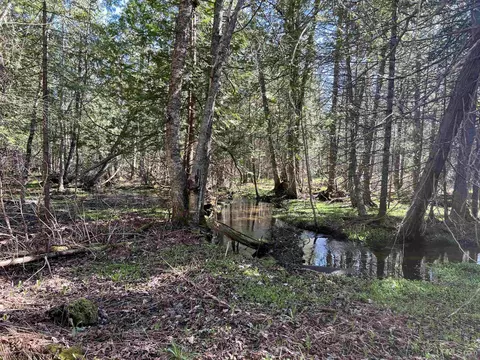 3499 M94, Chatham, MI 49816 photo 9