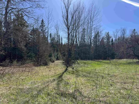 3499 M94, Chatham, MI 49816 photo 13