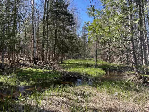 3499 M94, Chatham, MI 49816 photo 6