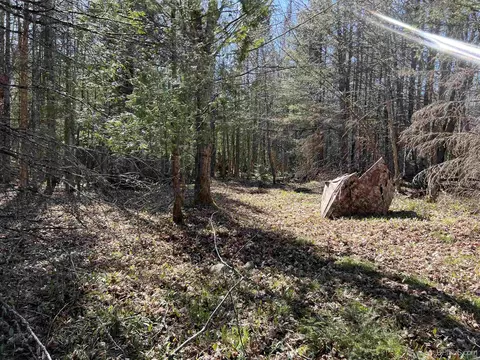 3499 M94, Chatham, MI 49816 photo 8