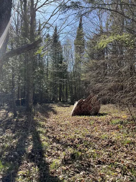 3499 M94, Chatham, MI 49816 photo 7