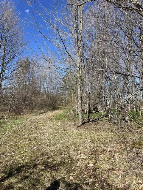 3499 M94, Chatham, MI 49816 photo 15