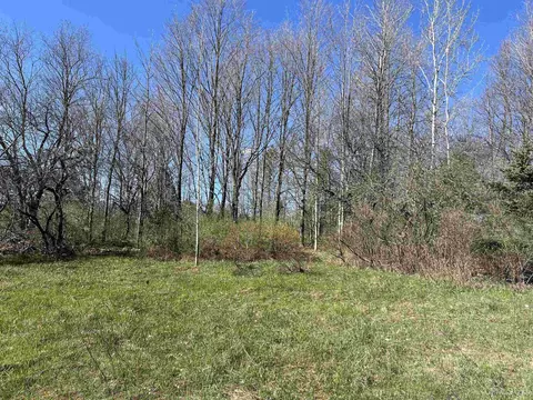 3499 M94, Chatham, MI 49816 photo 14