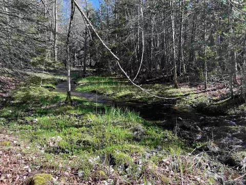 3499 M94, Chatham, MI 49816 photo 5