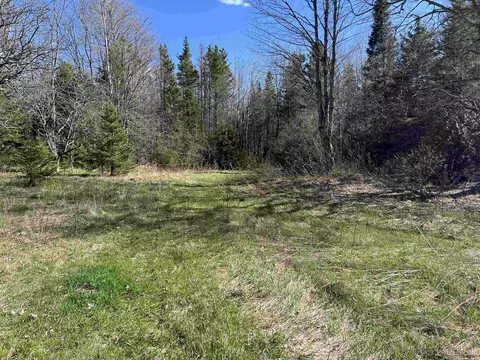 3499 M94, Chatham, MI 49816 photo 12