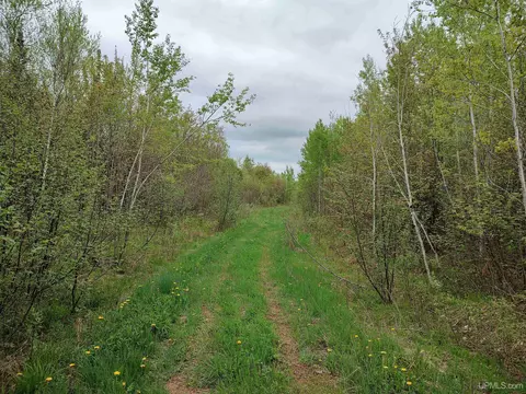 tbd Victorianorwich Cut Across, Rockland, MI 49960