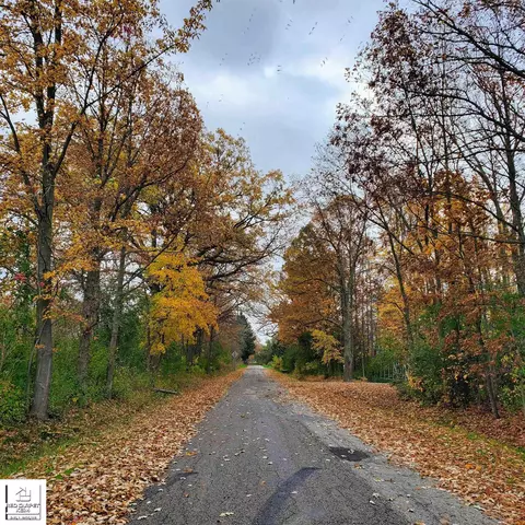 4441 W Willard, Birch Run, MI 48415