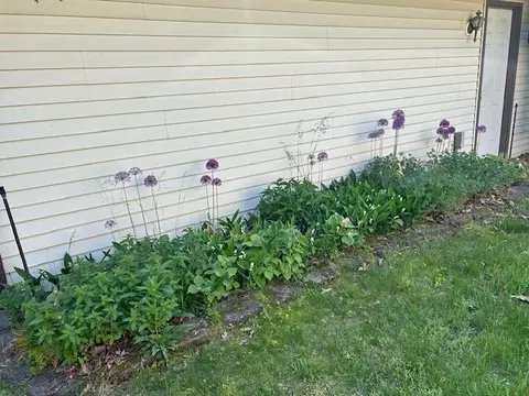 Exterior - 752 Rivers Ter, Gladwin, MI 48624 photo 6 of 11