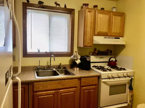 206 W W Park, Harrison, MI 48625 photo 13