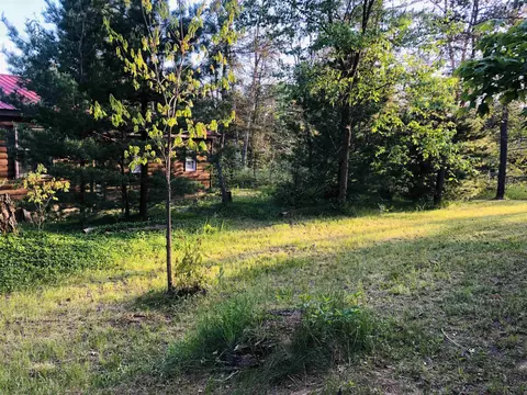 206 W W Park, Harrison, MI 48625 photo 37