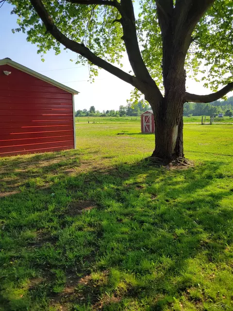 Exterior - 10790 E Wing, Shepherd, MI 48883 photo 4 of 10