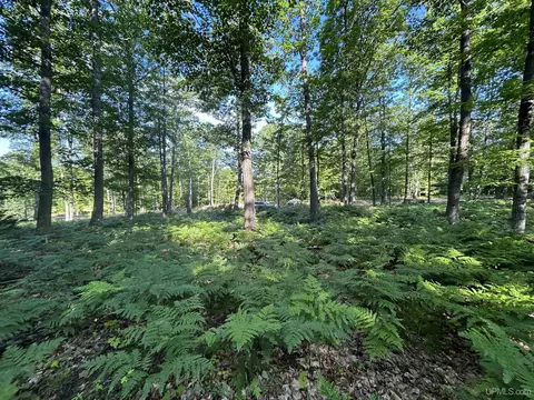 Tbd Yalmer, Skandia, MI 49885