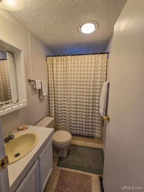 E3741 Munising, Chatham, MI 49816 photo 10