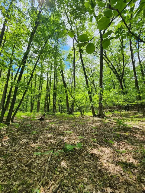 lot827 Hemlock, Farwell, MI 48622