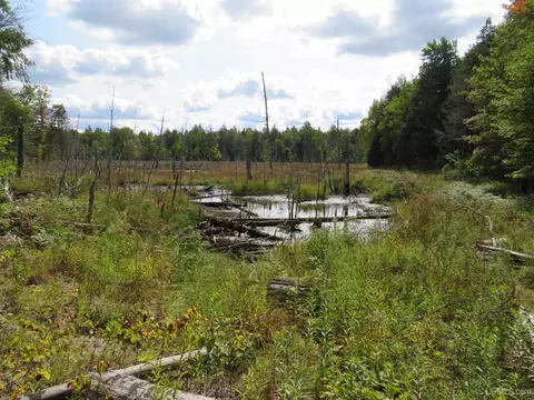 Tbd Off Black Creek Road, Skanee, MI 49962