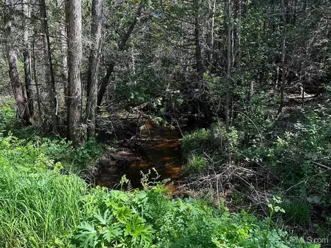 20 Acres Iron Pin, Gwinn, MI 49841