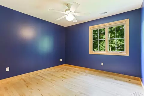 736 Maple, Frankenmuth, MI 48734 photo 31