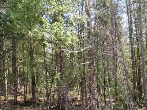 tbd Rice Lk #JUST WEST OF 31959 RICE LAKE, Lake Linden, MI 49945