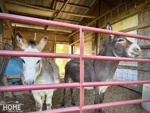 Other - 5258 Lytle, Corunna, MI 48817 photo 29 of 31