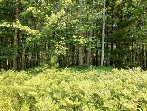 lot3 Happy, Beaverton, MI 48612