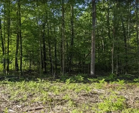 Lot 179 Shadowbrook, Lake, MI 48632