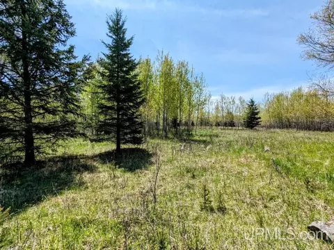 Lot 14 Willow #14, Gaastra, MI 49927