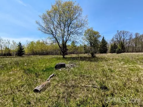 Lot 19 Willow #19, Gaastra, MI 49927