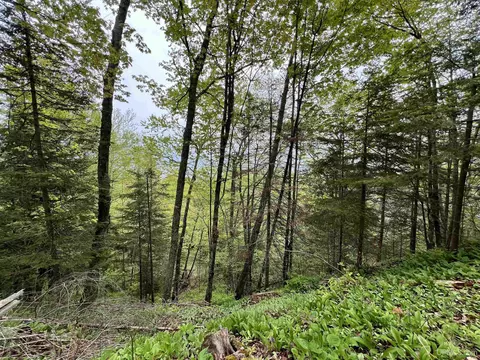 Tbd Beartown, Baraga, MI 49908