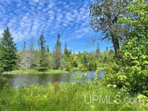 View/Area - Theilers, Mohawk, MI 49950 photo 13 of 15