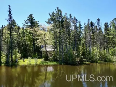 View/Area - Theilers, Mohawk, MI 49950 photo 8 of 15