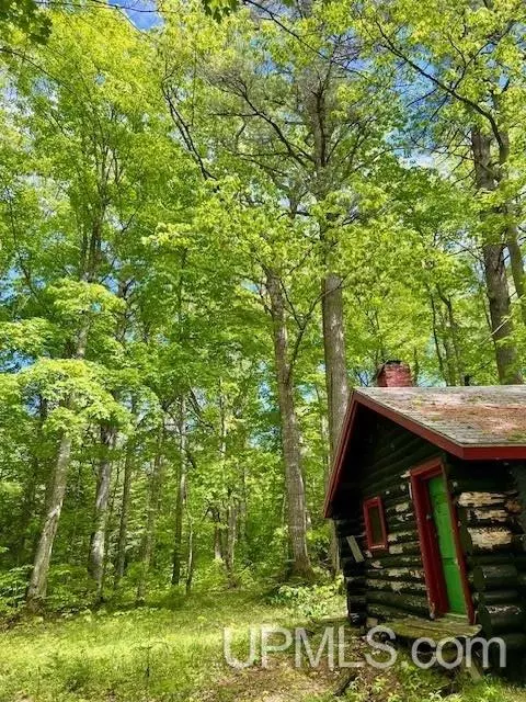 Exterior - Theilers, Mohawk, MI 49950 photo 7 of 7