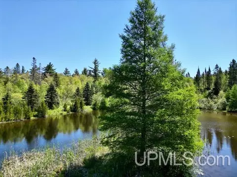 View/Area - Theilers, Mohawk, MI 49950 photo 9 of 15