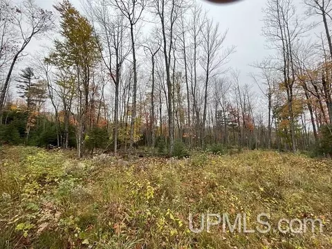 120 Acres Cardinal Red, Michigamme, MI 49861