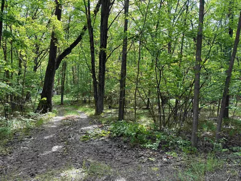 lot S 10061007 Spruce Hl, Farwell, MI 48622