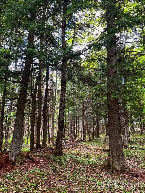 tbd C Rousseau, Mass City, MI 49948
