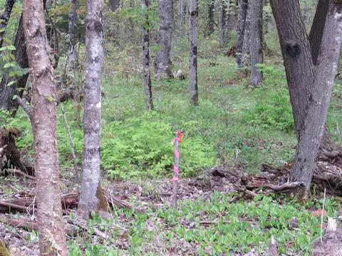 tbd Off Silver Mtn, Pelkie, MI 49958