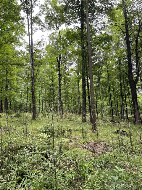 Tbd Pach, Perronville, MI 49874