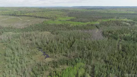 280 Acres County Road Ccn, Ishpeming, MI 49849 photo 22