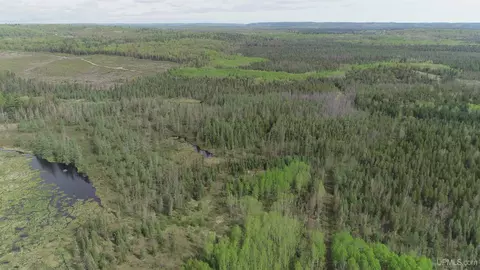 280 Acres County Road Ccn, Ishpeming, MI 49849 photo 21
