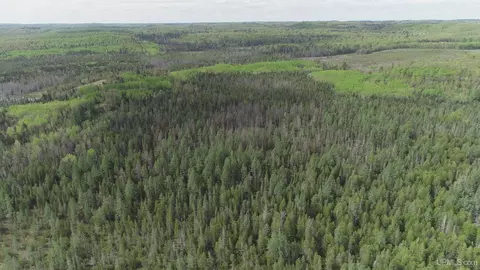 280 Acres County Road Ccn, Ishpeming, MI 49849 photo 37