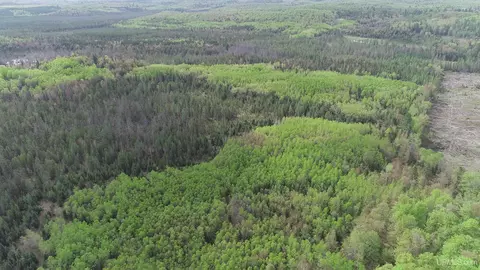 280 Acres County Road Ccn, Ishpeming, MI 49849 photo 45