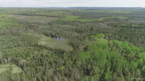 280 Acres County Road Ccn, Ishpeming, MI 49849 photo 20