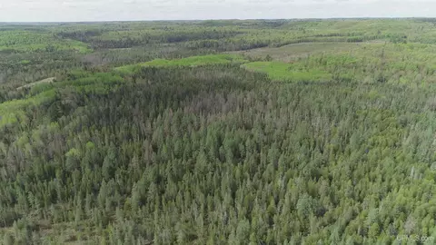 280 Acres County Road Ccn, Ishpeming, MI 49849 photo 36