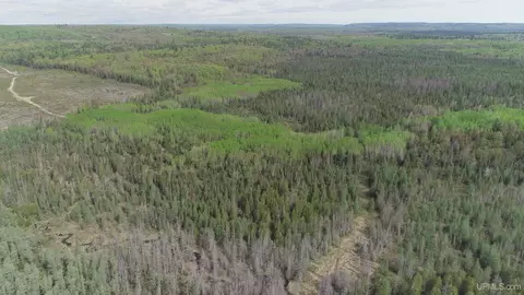 280 Acres County Road Ccn, Ishpeming, MI 49849 photo 25