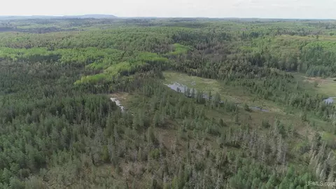 280 Acres County Road Ccn, Ishpeming, MI 49849 photo 6