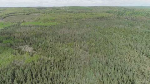 280 Acres County Road Ccn, Ishpeming, MI 49849 photo 32