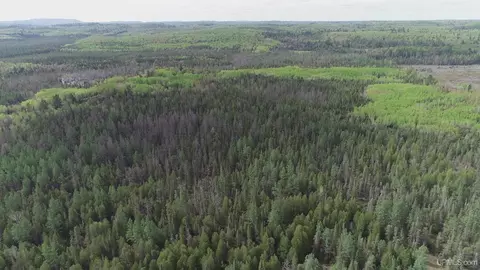 280 Acres County Road Ccn, Ishpeming, MI 49849 photo 40