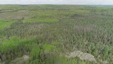 280 Acres County Road Ccn, Ishpeming, MI 49849 photo 29